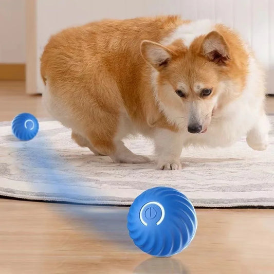 Gravitational Moving Smart Ball – Interactive Training Toy for Dogs