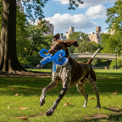 The Chew Toy They'll Actually Keep Playing With