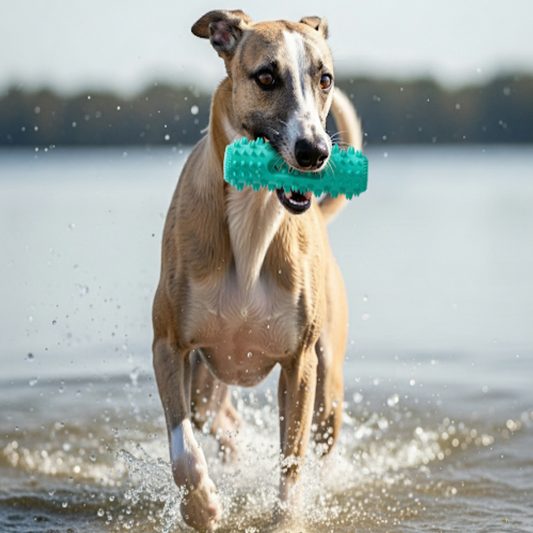 Vet-Approved 3-in-1 Dental Chew Stick – Cooling Toothbrush Toy for Small & Medium Dogs