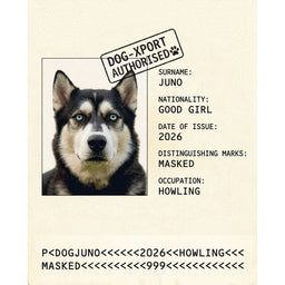 The Passport