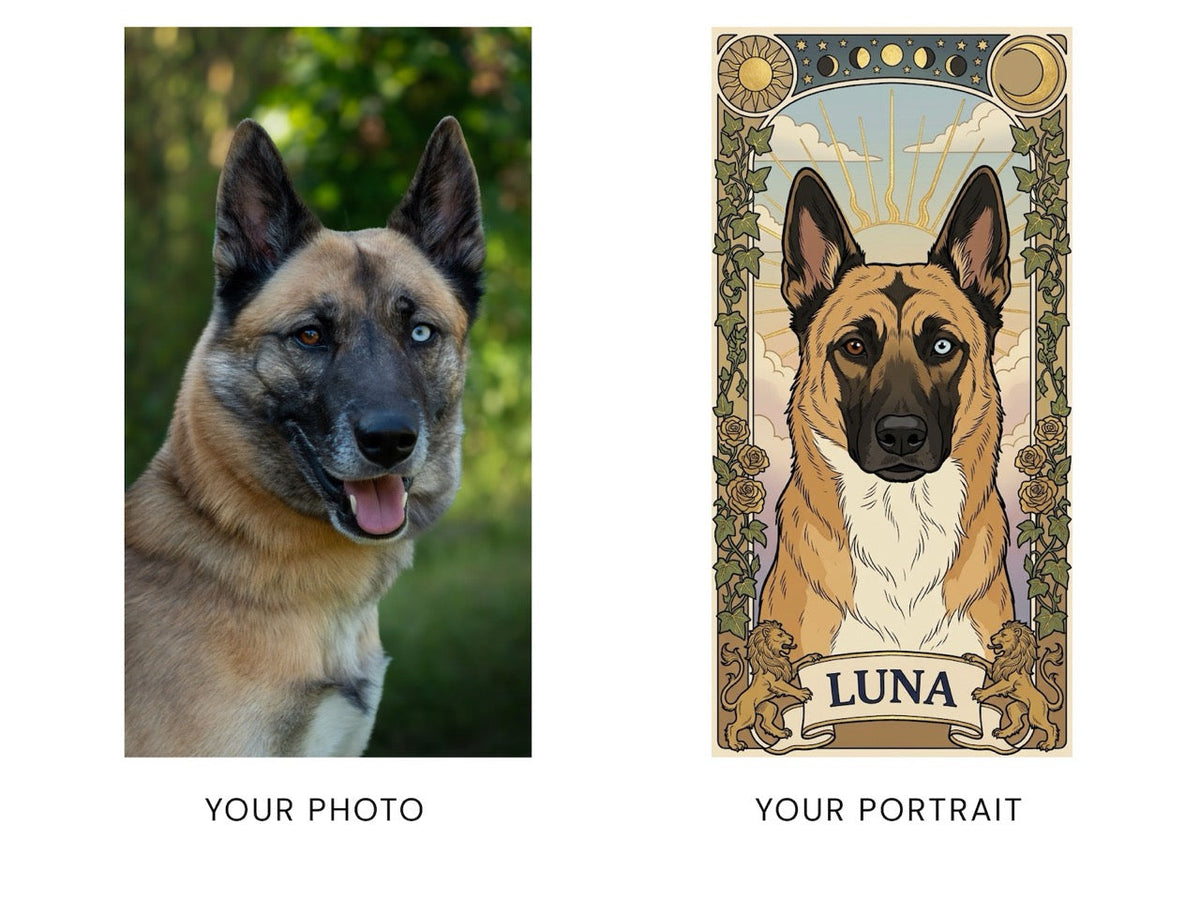 Before and after: a dog photo becomes an Arcana tarot card portrait
