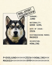 The Passport custom dog portrait: a husky on a novelty identity page