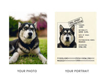 Before and after: a husky photo becomes a Passport identity page portrait