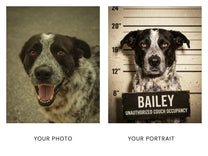 Before and after: a phone photo of a cattle dog beside his custom Perp mugshot portrait print