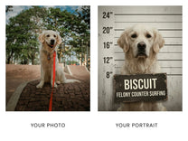 Before and after: a golden retriever park photo becomes a Perp mugshot portrait