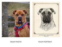 Before and after: a mastiff photo becomes a Specimen engraving portrait