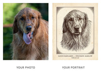 Before and after: a phone photo of a golden retriever beside his custom Victorian engraving portrait print
